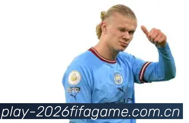 FIFA官方授权证书